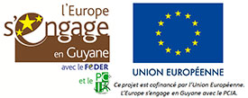 The Malakit project is co-financed by the European Union. Europe is engaged in French Guiana with IACP.