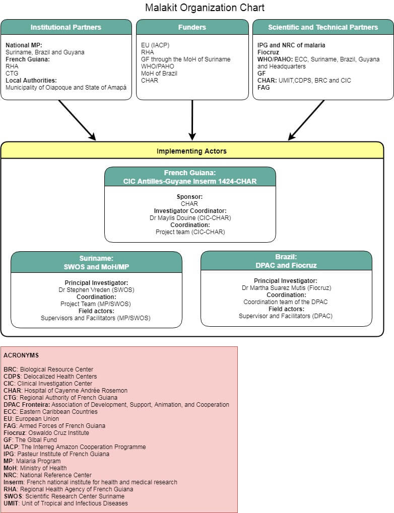 Who Organization Chart